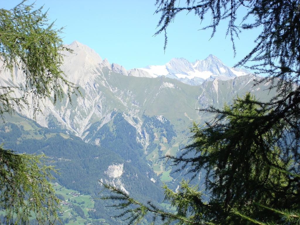 Apartments Poetscher Matrei in Osttirol Buitenkant foto